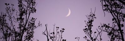 BelenLien's profile banner image