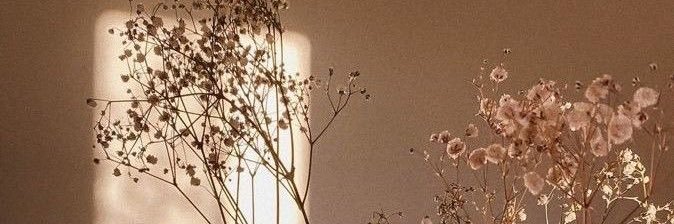 noha_mj's profile banner image