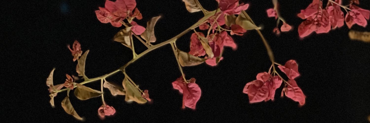 HilahSN's profile banner image