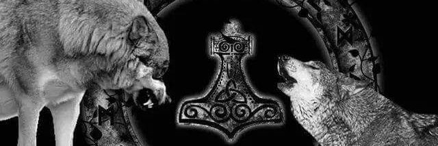 Wolfsladys Rudel banner