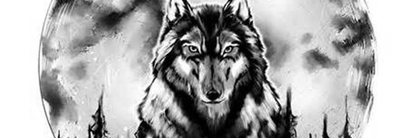 alone_walkerIV's profile banner image