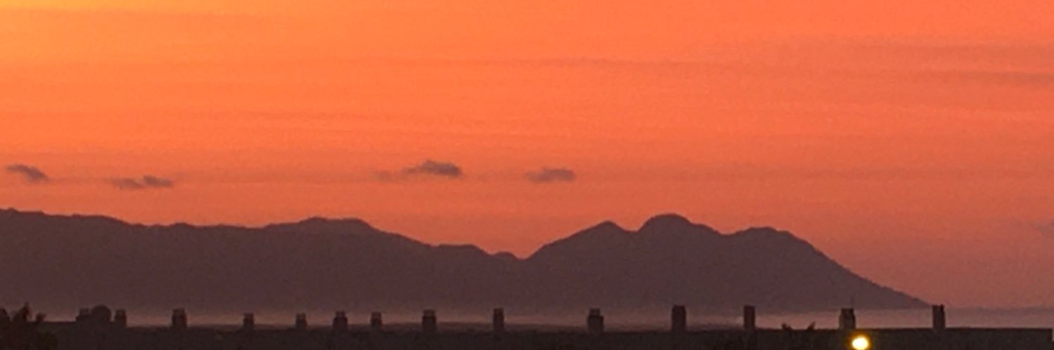 Mariángel Alcázar banner