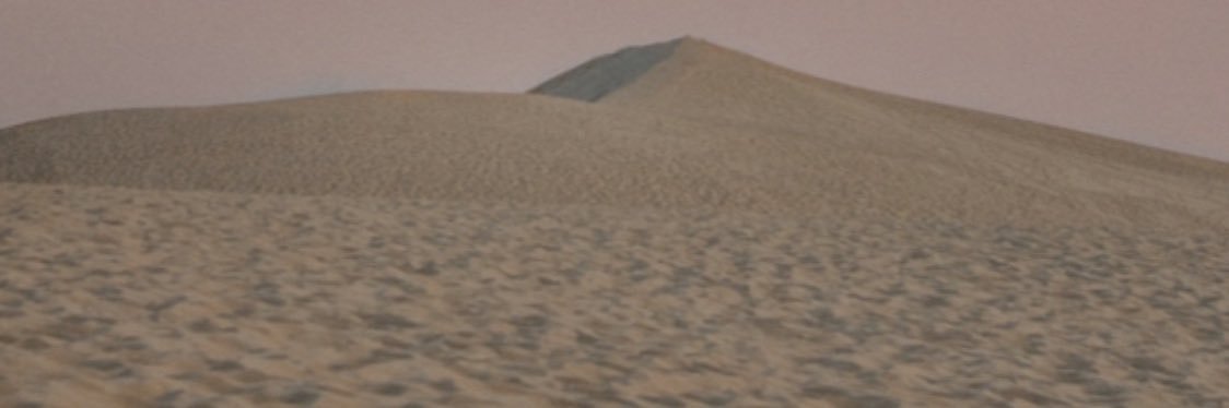 Isabella banner