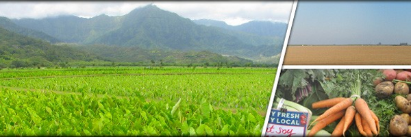 feedhunger1 Profile Banner