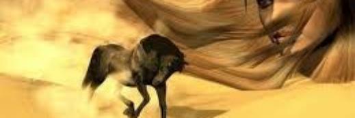 CatCrusadeResq's profile banner image