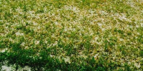 بندر البصيّص banner