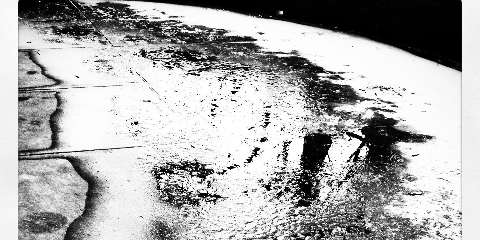 EliPurdom's profile banner image