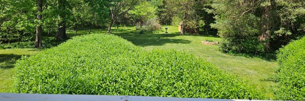 PastorJChester Profile Banner