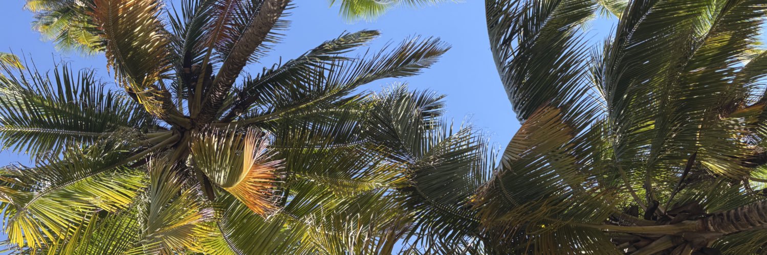 lisandra62's profile banner image