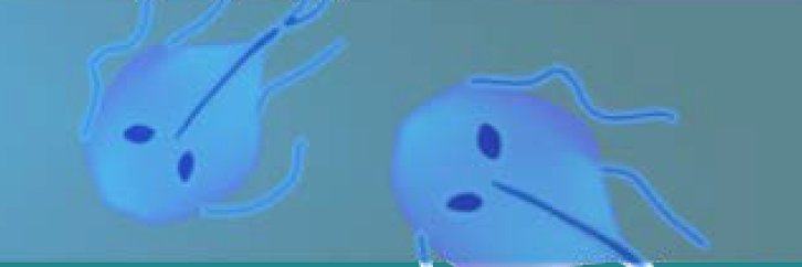 DiseaseResponse's profile banner image