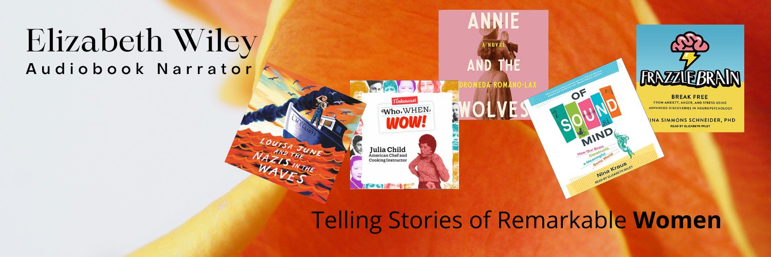 WileyVoice's profile banner image