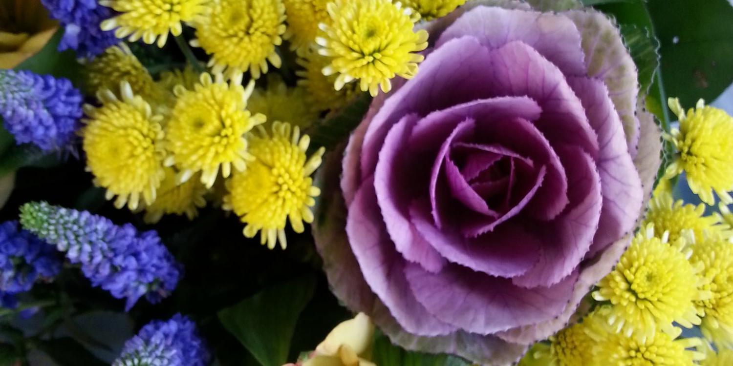 bohoblackrose's profile banner image