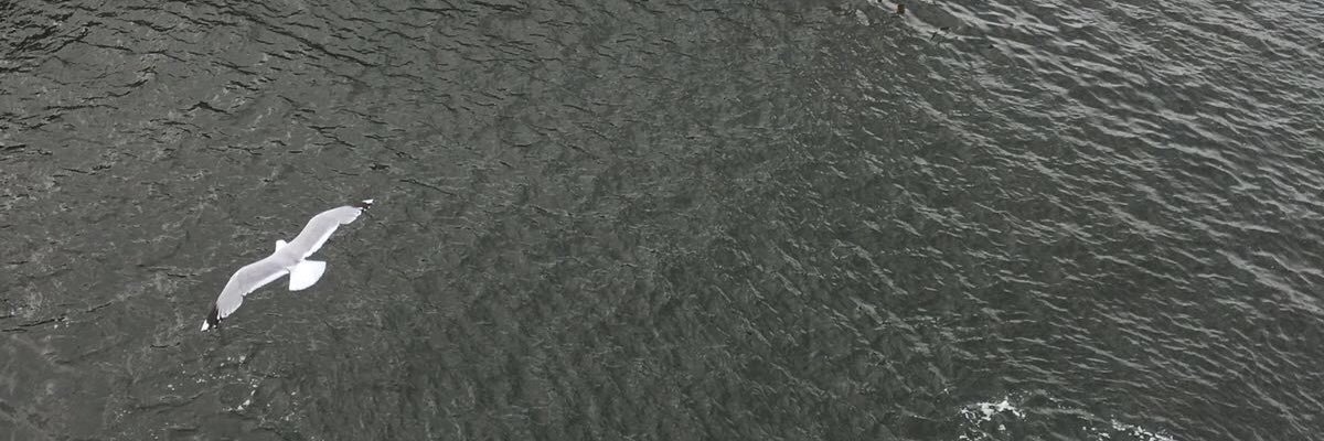 Mohdsa3di's profile banner image