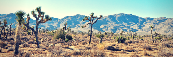 RefillMyMeds Profile Banner