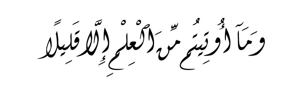 sahar_allouch's profile banner image