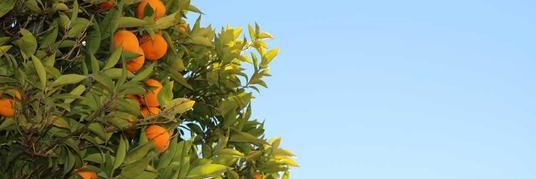 gioaja77's profile banner image