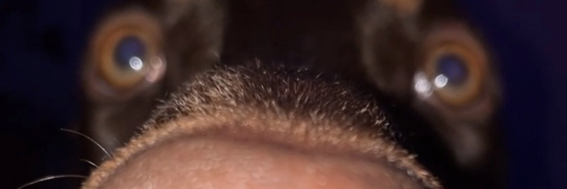 BUCKFEAT's profile banner image