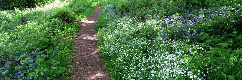 Jane Mudd💛 banner