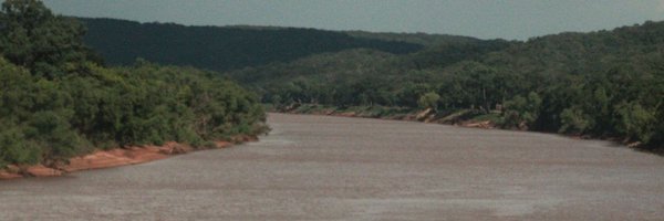 turtlecoal Profile Banner