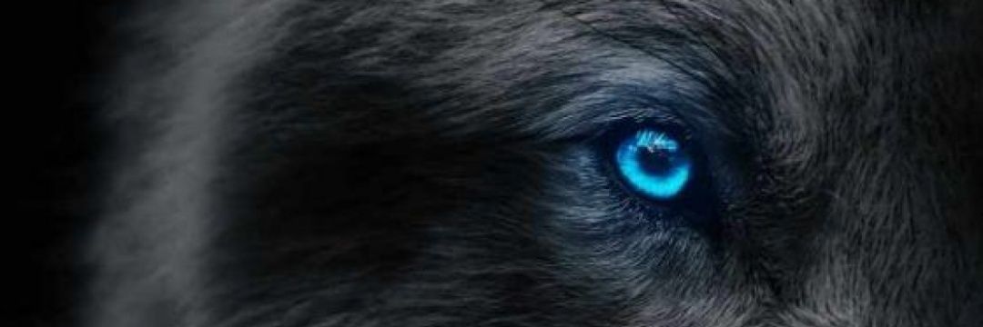 Cristian Vera. banner