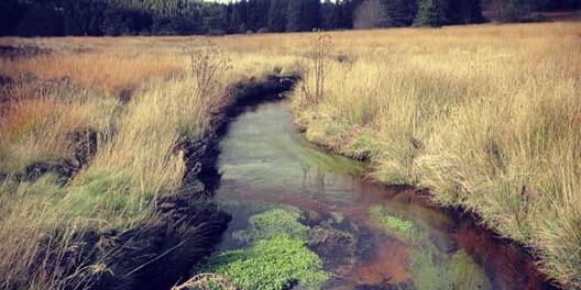 Pascal BRUNEAU banner