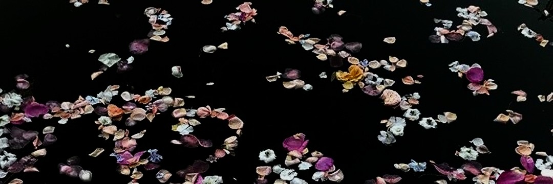 twentyxnelarry's profile banner image