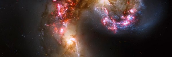 fringecharm Profile Banner