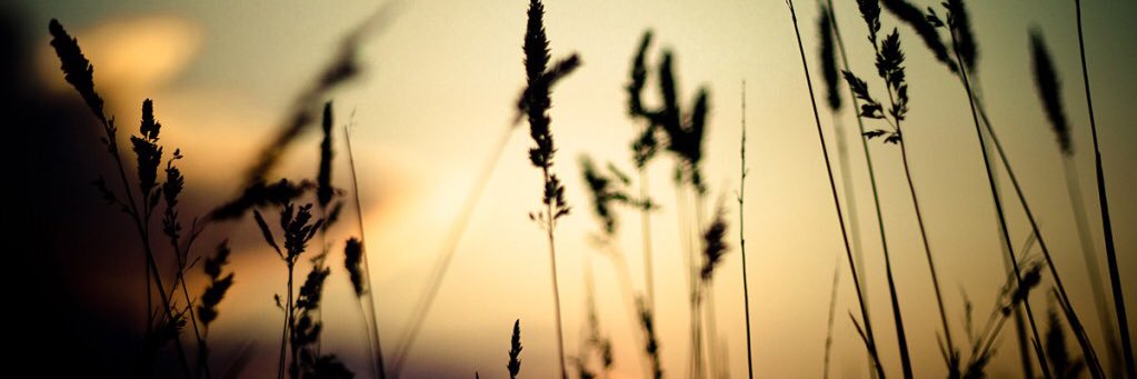 Katherine Landaverde👑 banner