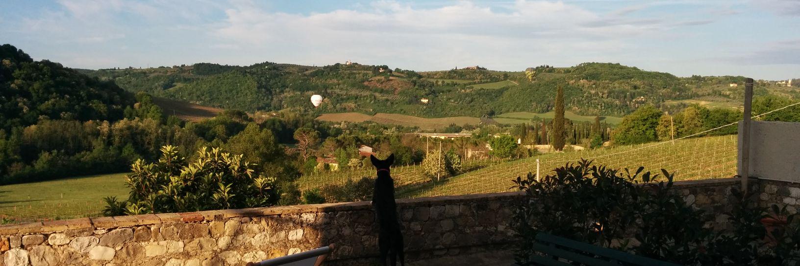 CarloRatti's profile banner image