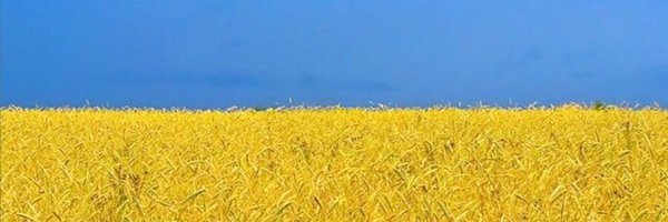 Sometimes_Sybil Profile Banner
