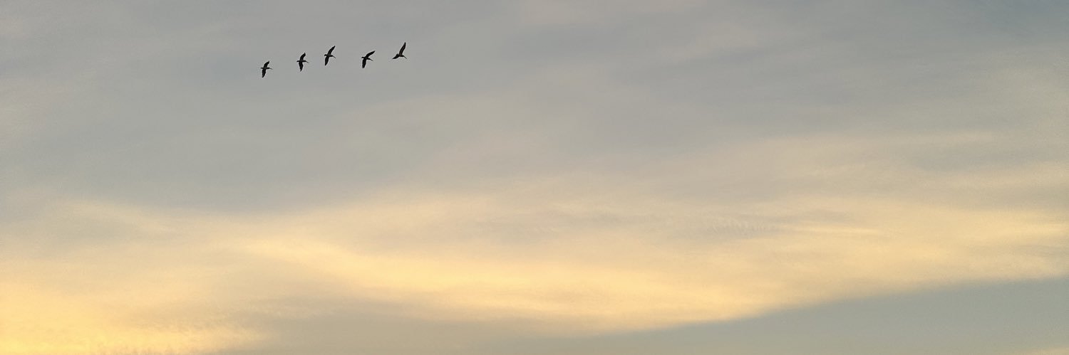 alllijoyce's profile banner image