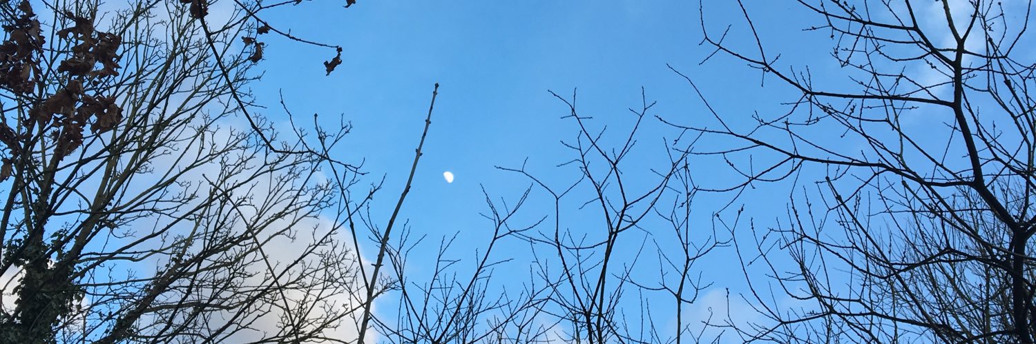 KoalaCamera's profile banner image
