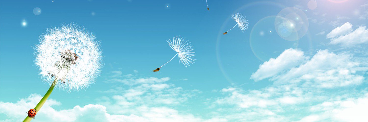 MNHPV's profile banner image
