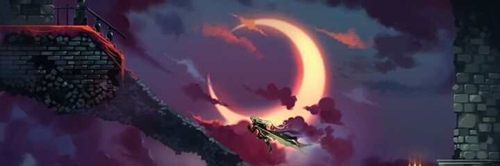 Robin Lief banner
