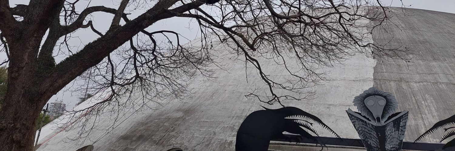 dudszampini's profile banner image