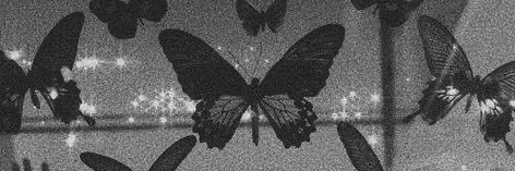 julielessen's profile banner image
