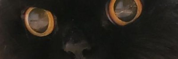 pimpflaco Profile Banner