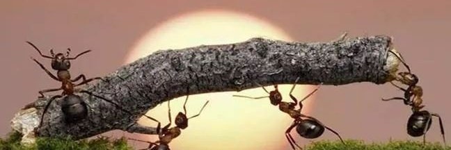 swimthifen's profile banner image