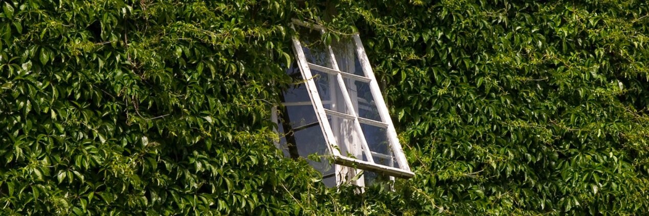 Vegard J. Aspleund banner