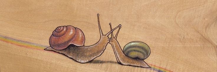 _snail_keeper_'s profile banner image
