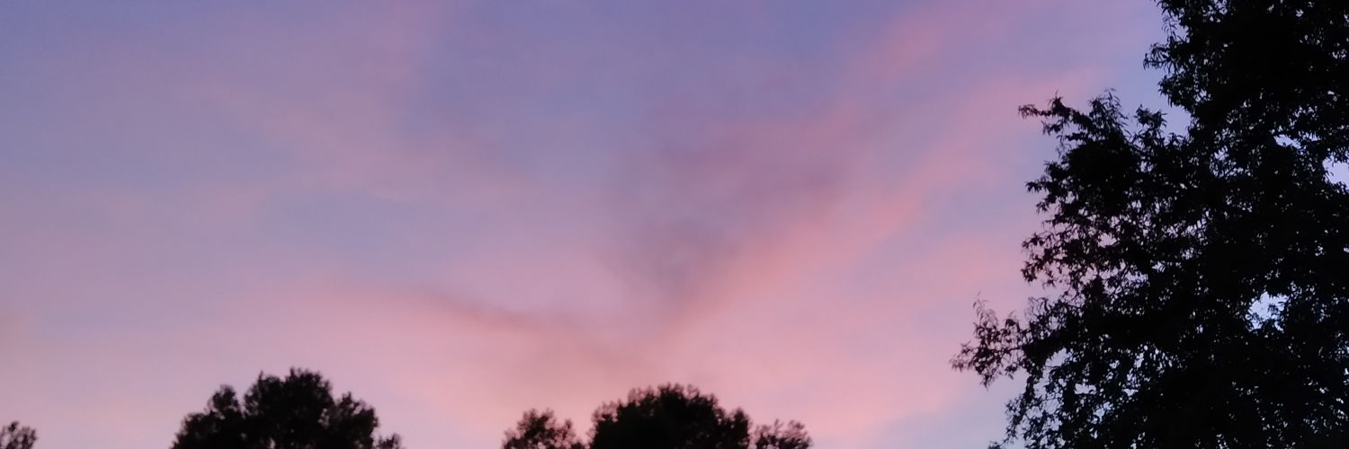 kornepsz's profile banner image