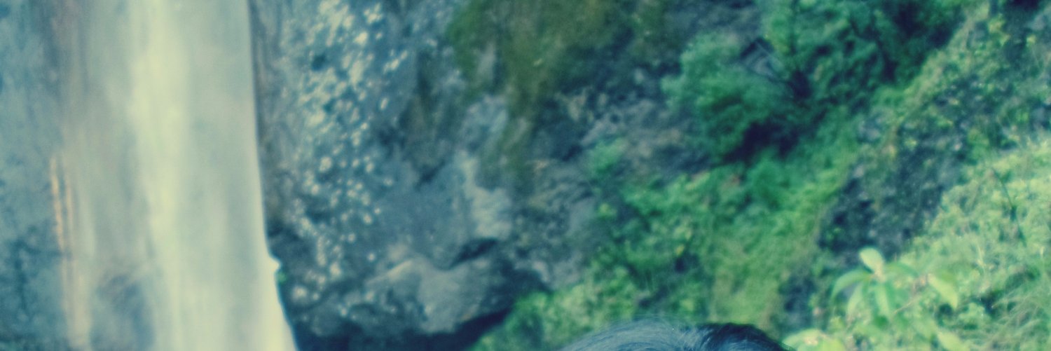 LizJhameli's profile banner image