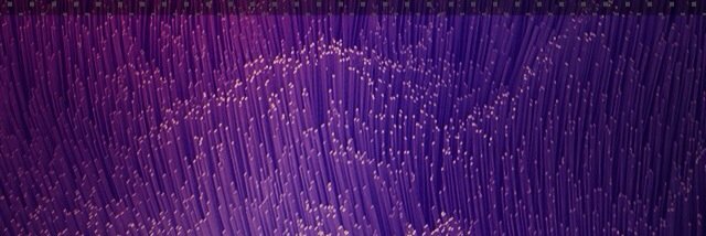 ally_fields15's profile banner image