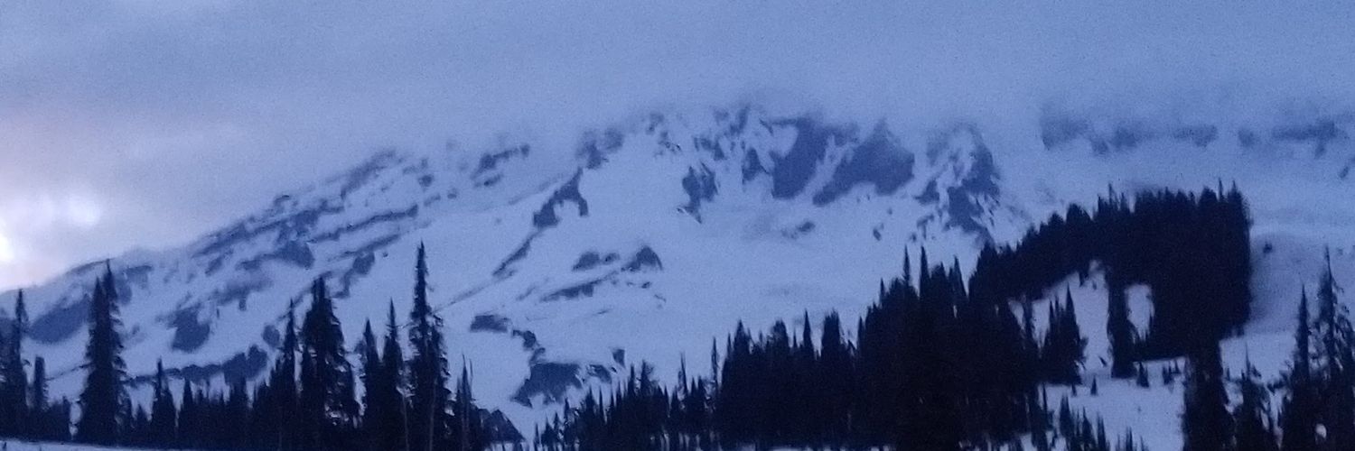 NicholasBanton's profile banner image
