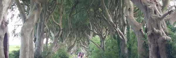 justinkerr123 Profile Banner