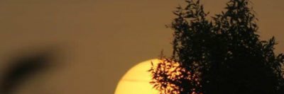 chandelier_23's profile banner image