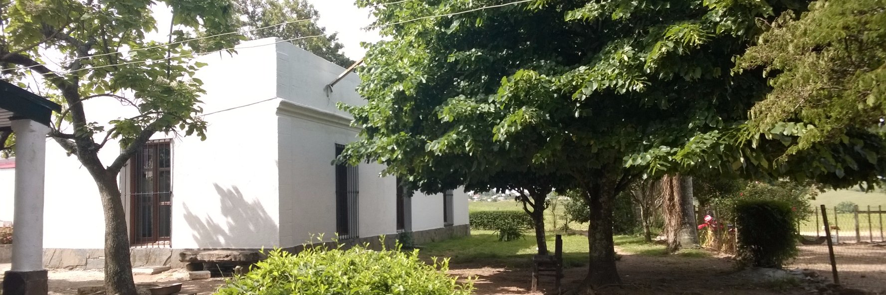 E Hoffman Berasain banner