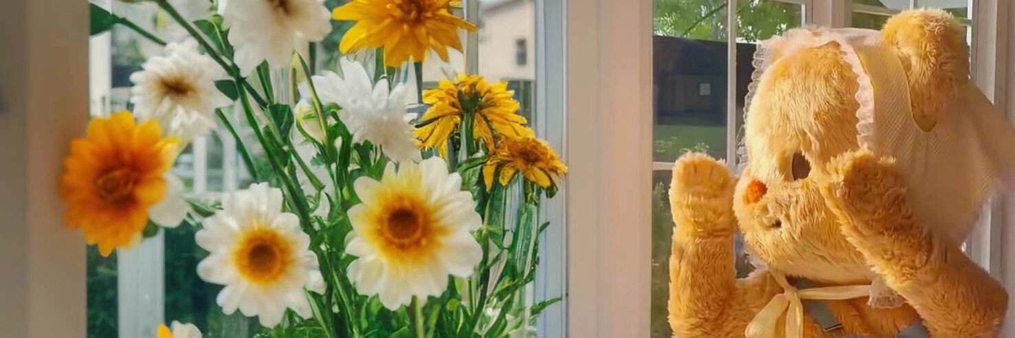 poo_ch's profile banner image
