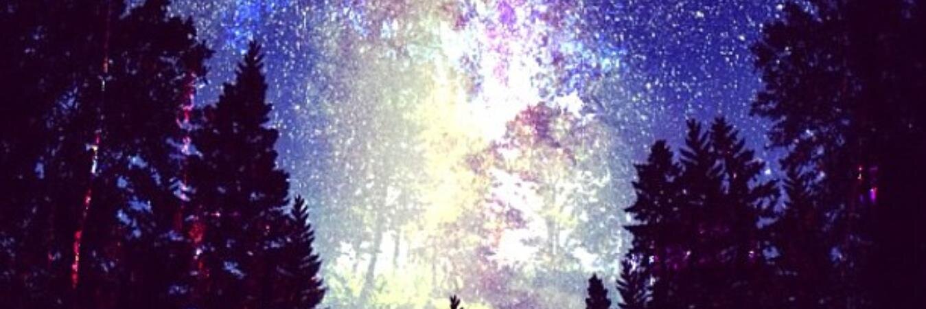 thatdisney_guy's profile banner image