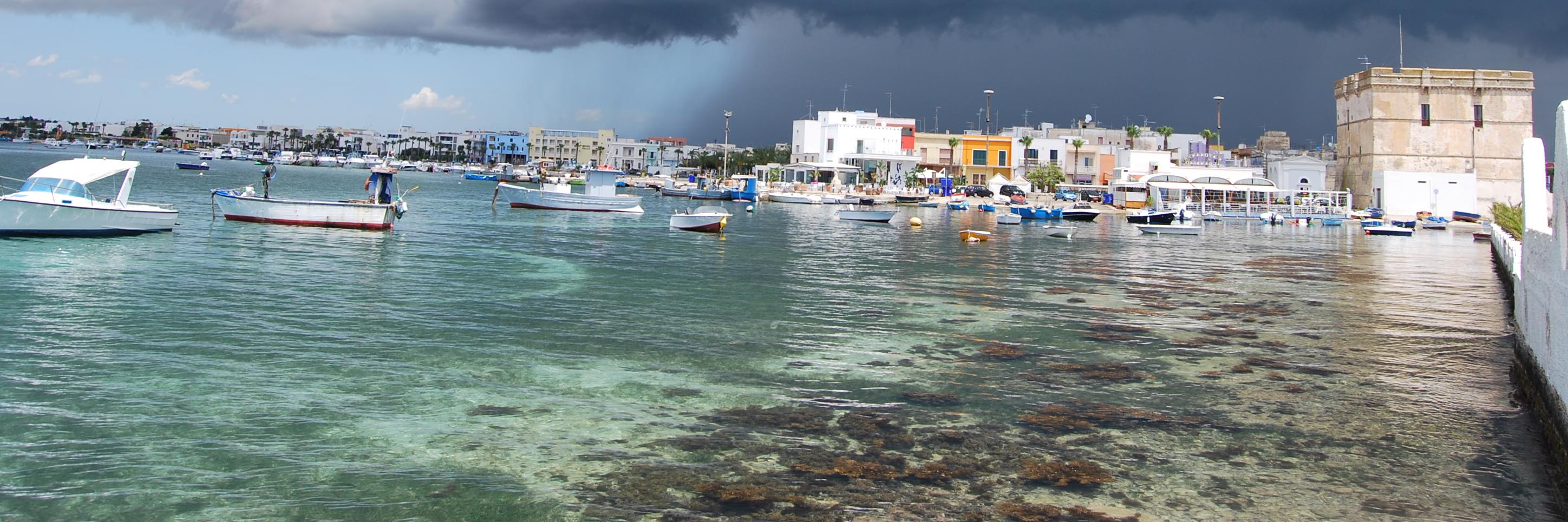 SunnyPuglia's profile banner image